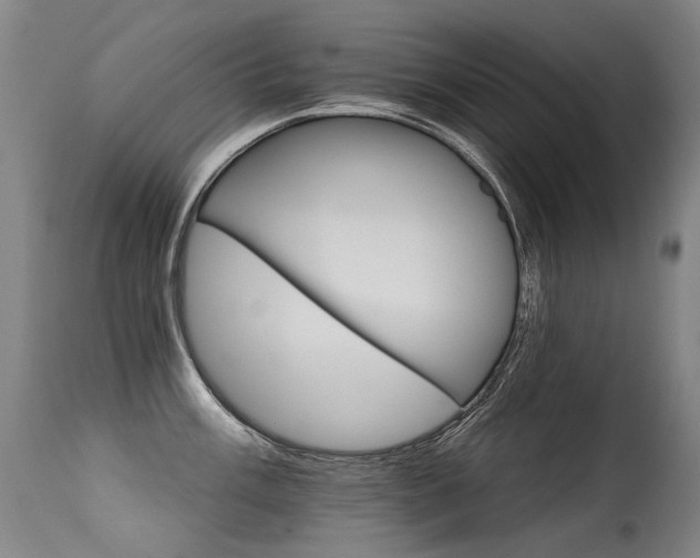 X0000115651003200911101535