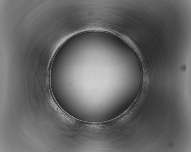 X0000115651004200911101535
