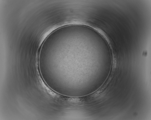 X0000115651006200911101535