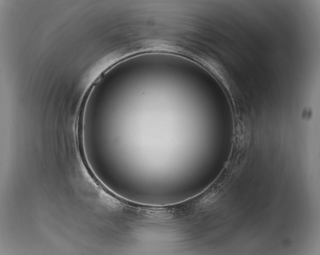 X0000115651007200911101535