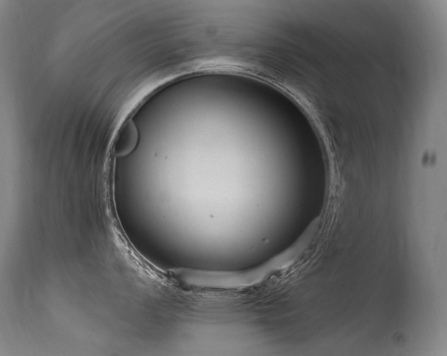 X0000115651008200911101535
