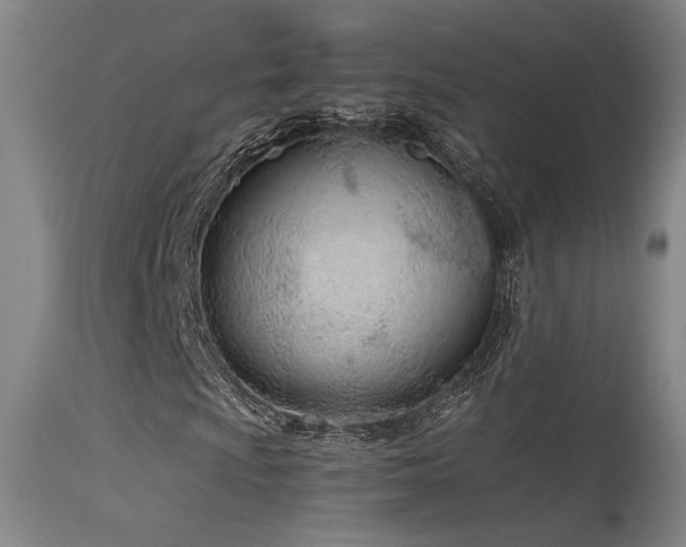 X0000115651009200911101534