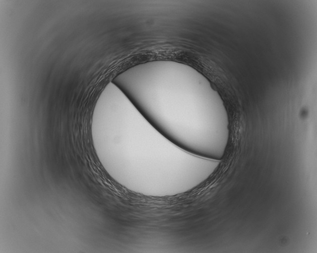 X0000115651010200911101534