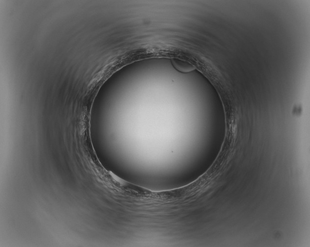 X0000115651012200911101534