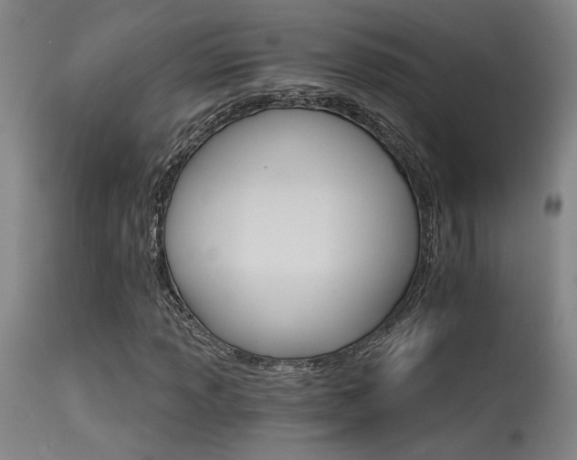 X0000115651013200911101534