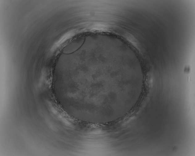 X0000115651015200911101535
