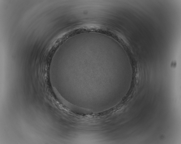 X0000115651016200911101535