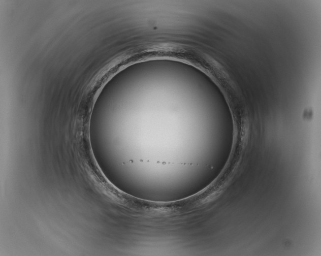 X0000115651017200911101535