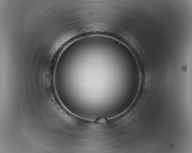 X0000115651018200911101535