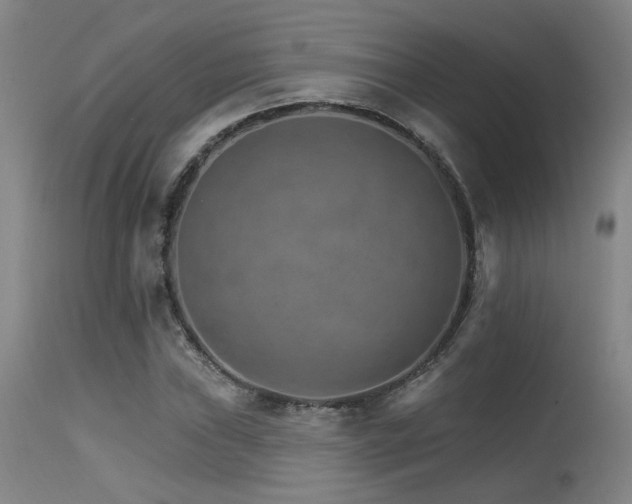 X0000115651019200911101535