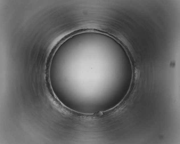 X0000115651020200911101535