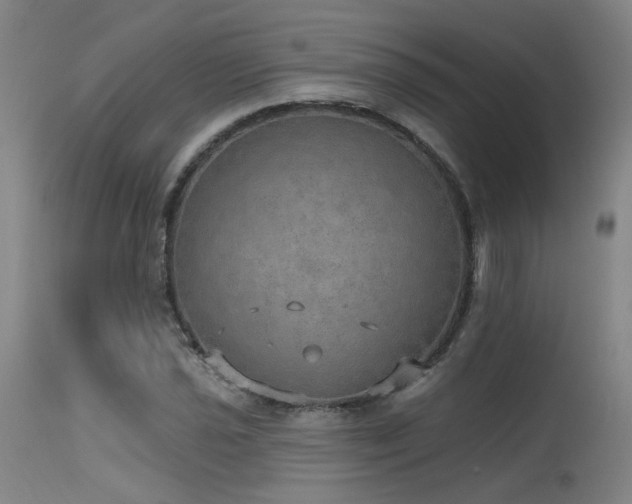 X0000115651021200911101535