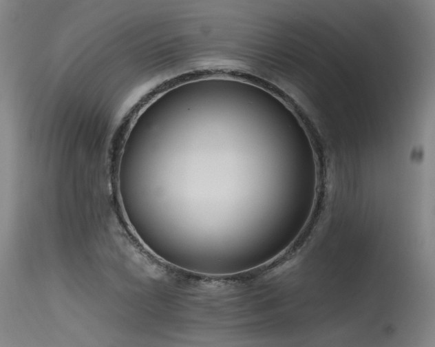 X0000115651022200911101535