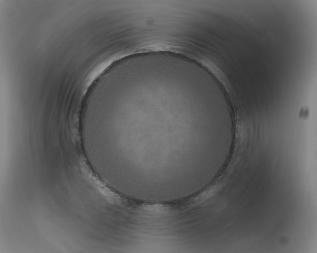 X0000115651023200911101535