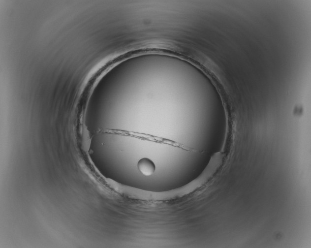 X0000115651024200911101535