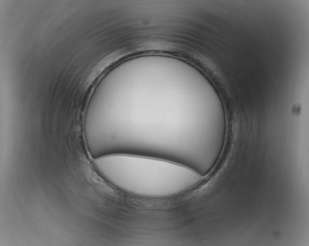 X0000115651025200911101535