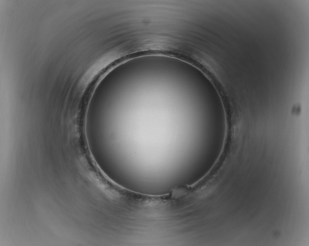 X0000115651026200911101535