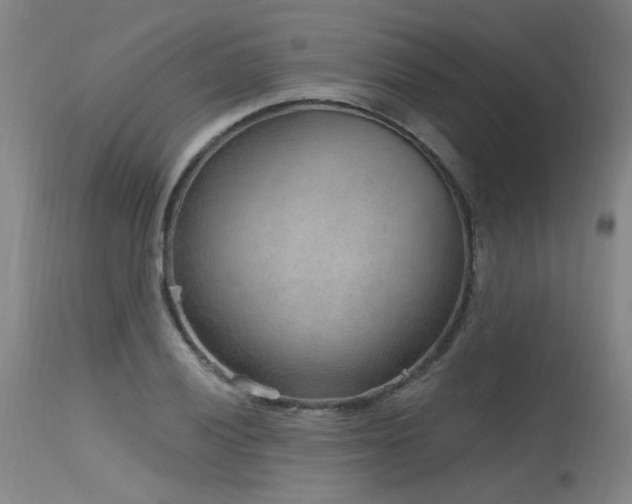 X0000115651028200911101535