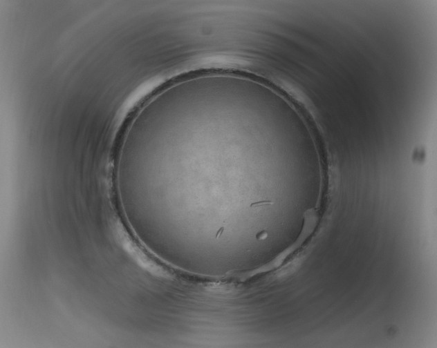X0000115651029200911101535