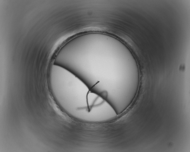 X0000115651030200911101535