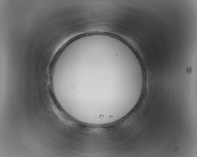 X0000115651031200911101535