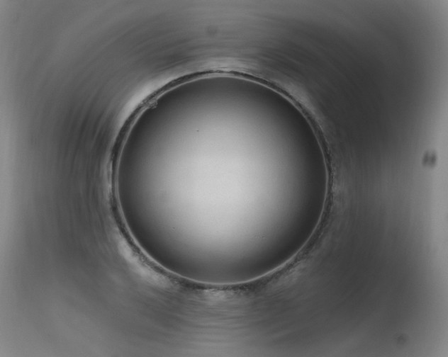 X0000115651032200911101535