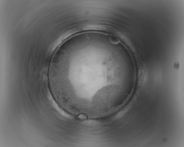 X0000115651033200911101535