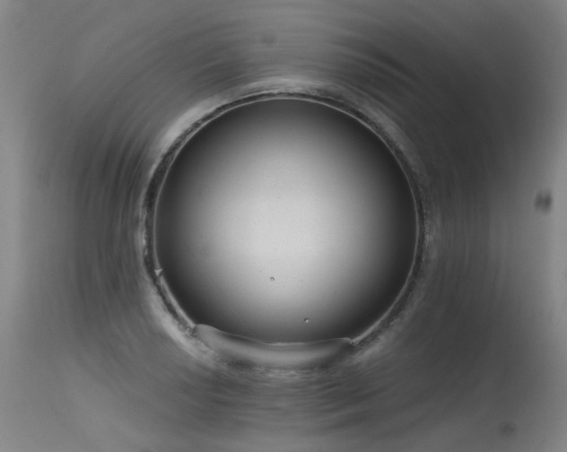 X0000115651034200911101535