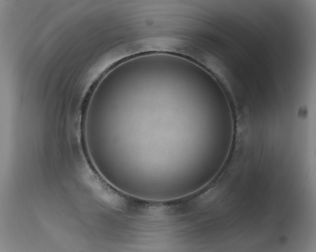 X0000115651035200911101535