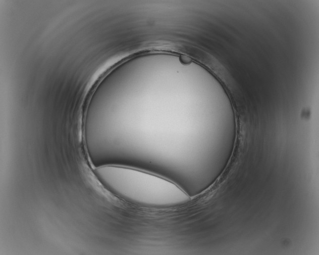 X0000115651036200911101535