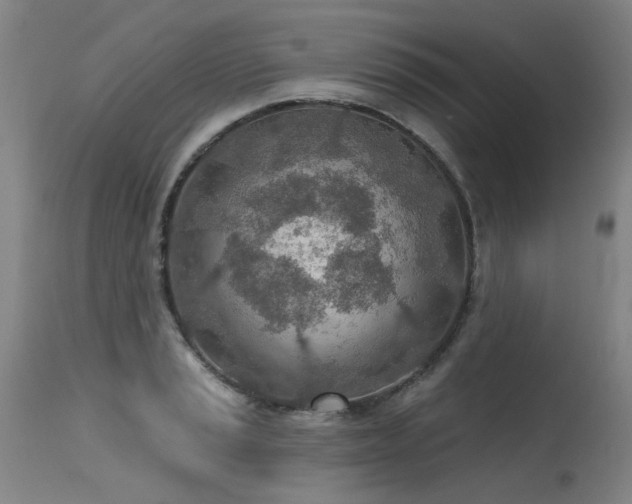 X0000115651037200911101535
