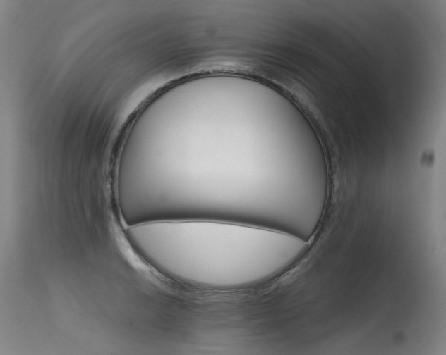 X0000115651038200911101535