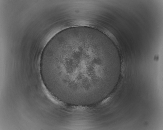 X0000115651039200911101535