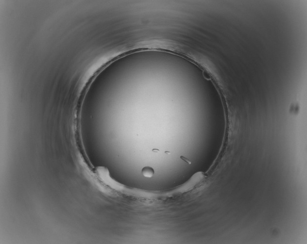 X0000115651040200911101535
