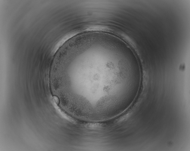 X0000115651041200911101535