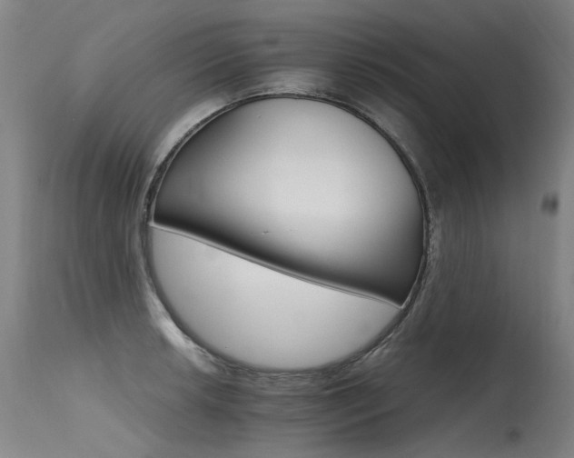 X0000115651042200911101535