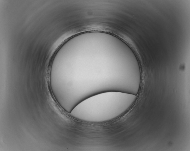 X0000115651043200911101535