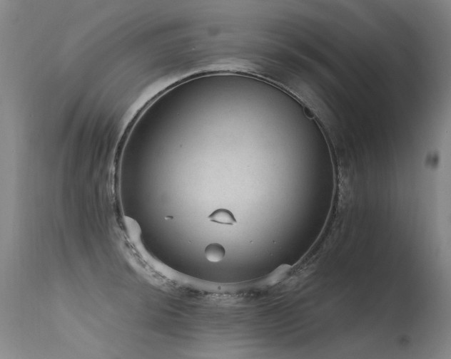 X0000115651044200911101535