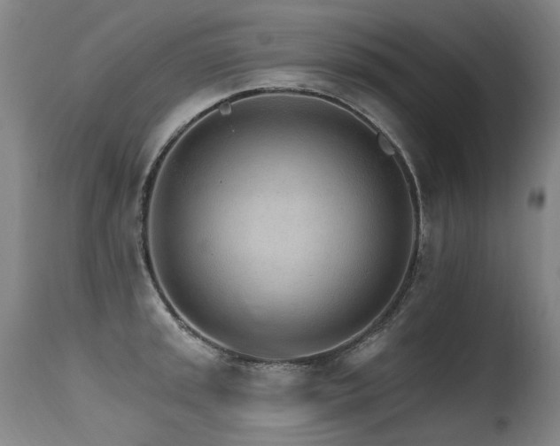 X0000115651045200911101535