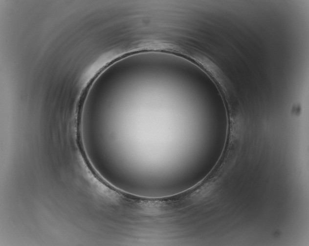 X0000115651046200911101535