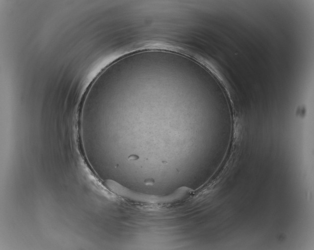 X0000115651048200911101535