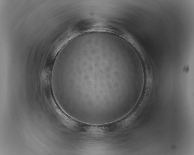 X0000115651049200911101535