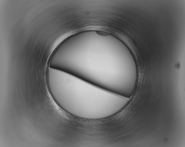 X0000115651050200911101535