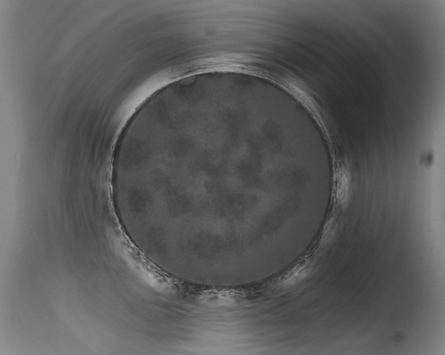 X0000115651051200911101535