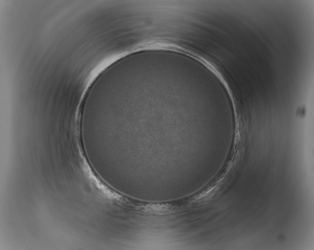 X0000115651053200911101535