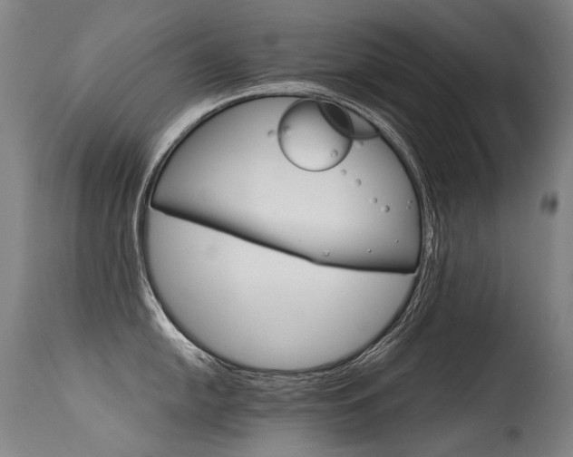X0000115651054200911101535