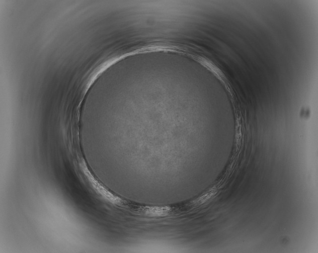 X0000115651055200911101535