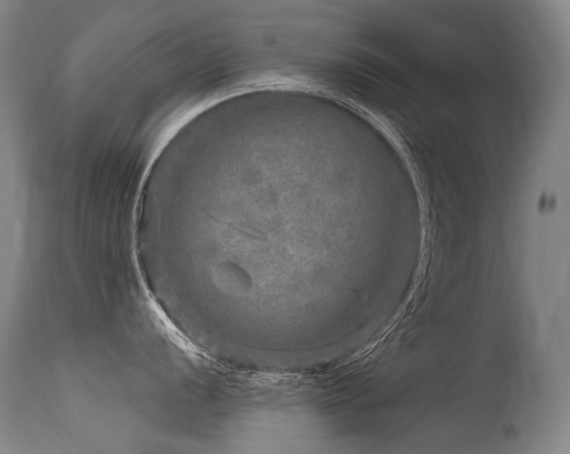 X0000115651056200911101535