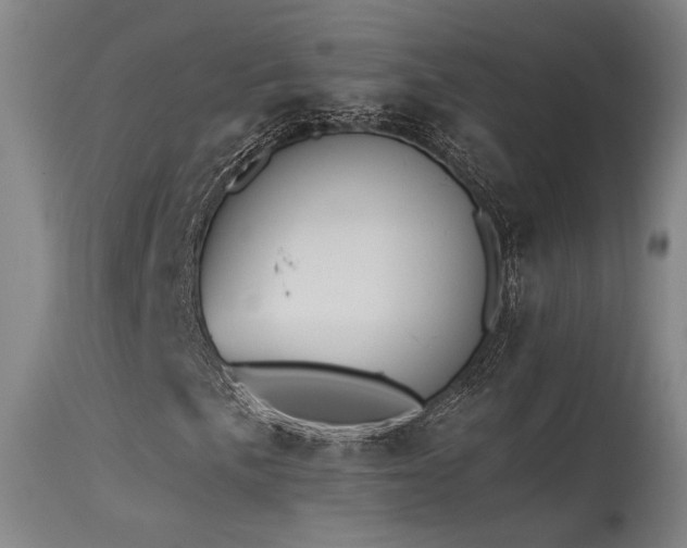 X0000115651057200911101534