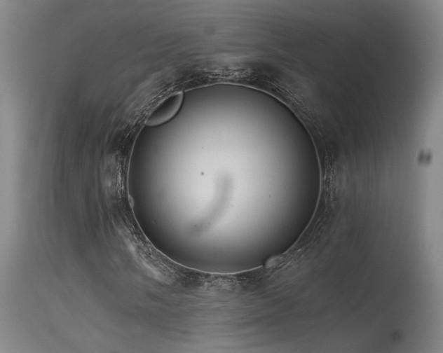 X0000115651058200911101534